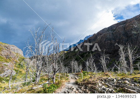 Hiking the W-Trek in Torres Del Paine 134699325