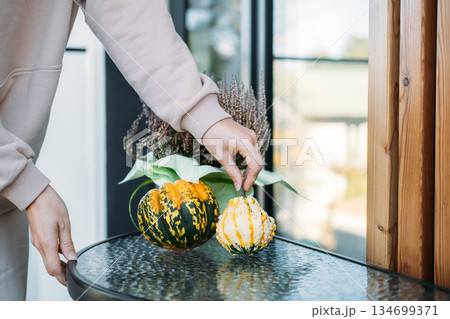Woman arranges decorative pumpkins on balcony table near heather plant. Home gardening trends, interior styling, cozy fall vibes, seasonal aesthetics. Woman arranges decorative pumpkins on balcony table near heather plant. Home gardening trends, interior styling, cozy fall vibes, seasonal aesthetics. 134699371