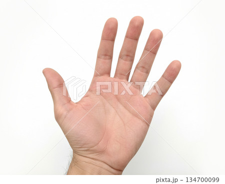 Open Human Hand Isolated on White Background Open Human Hand Isolated on White Background 134700099