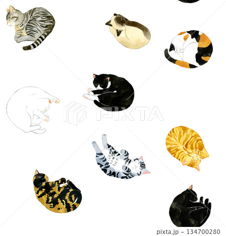 眠るかわいい猫のシームレスパターン　動物・ペットの手描き水彩イラスト背景素材 134700280