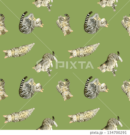 かわいいキジトラ猫のシームレスパターン　動物・ペットの手描き水彩イラスト背景素材 134700291