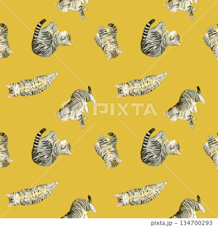 かわいいキジトラ猫のシームレスパターン　動物・ペットの手描き水彩イラスト背景素材 134700293