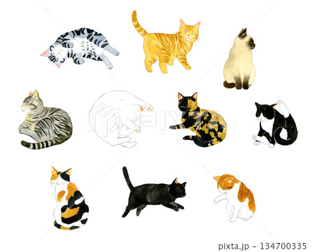 色々な色・柄のかわいい猫のセット　ペット・動物の手描き水彩イラスト素材集 134700335