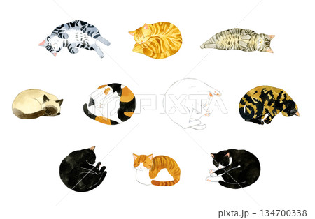 寝ているかわいい猫のセット　ペット・動物の手描き水彩イラスト素材集 134700338