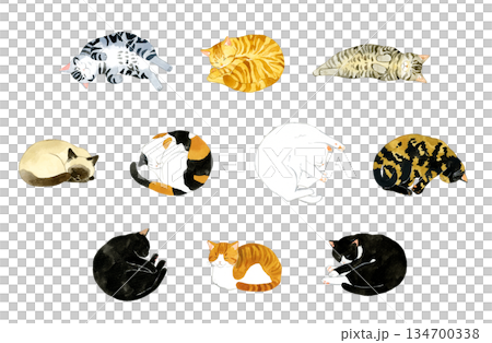 寝ているかわいい猫のセット　ペット・動物の手描き水彩イラスト素材集 134700338