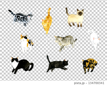 A set of cute cats in various colors and patterns. A collection of hand-drawn watercolor illustrations of pets and animals. 134700341