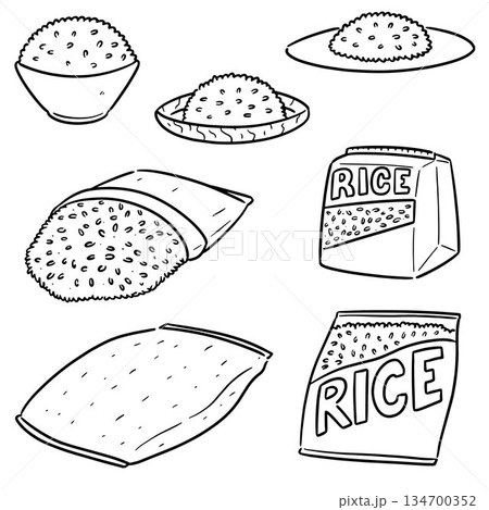 vector set of rice vector set of rice 134700352