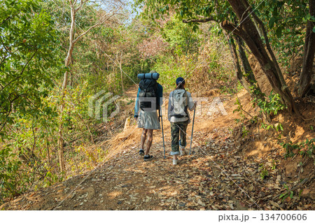 Travel young couple hike walk forest trail, people discover nature mountain path, enjoying outdoor activity, healthy lifestyle journey, tranquil woodland exploration 134700606