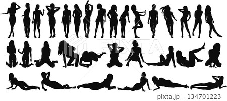 ポーズをとる女性のシルエットイラストセット	 134701223