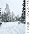 Winter forest with snow covered pines and distant slopes 134701458