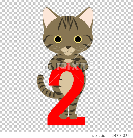 猫の日_数字の「2」によじ登るネコ 猫の日_数字の「2」によじ登るネコ 134701829