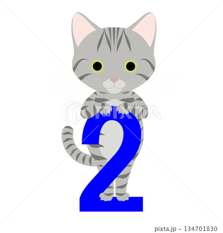猫の日_数字の「2」によじ登るネコ 猫の日_数字の「2」によじ登るネコ 134701830