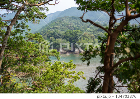 三重県 尾鷲市 弁財島 三重県 尾鷲市 弁財島 134702876