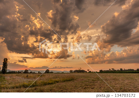 Sunset over a tranquil meadow with dramatic clouds and golden light illuminating the horizon Sunset over a tranquil meadow with dramatic clouds and golden light illuminating the horizon 134703172