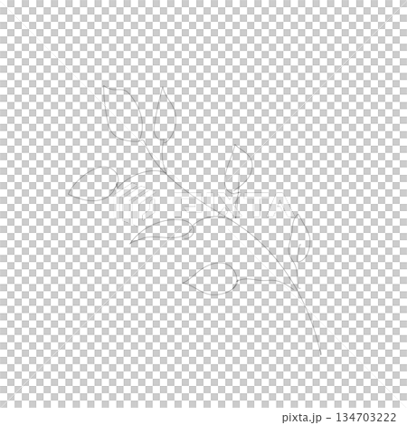 Monochrome line drawing of an olive branch with a hand-drawn feel. Natural wedding or logo design illustration 134703222