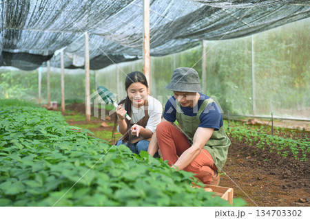 An experienced grower teaching a young girl farmer inside a shaded greenhouse 134703302