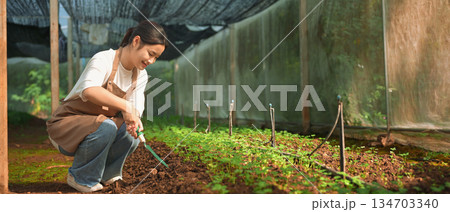 A young woman caring for seedlings inside a shaded greenhouse 134703340
