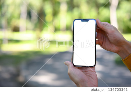 Man hand holding smartphone mockup with white screen, summer park background Man hand holding smartphone mockup with white screen, summer park background 134703341