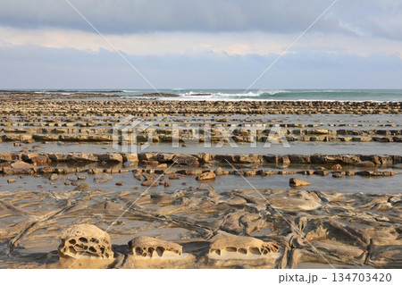 宮崎・青島の波状岩：手前の奇岩と、遠くに寄せる太平洋の白波 134703420