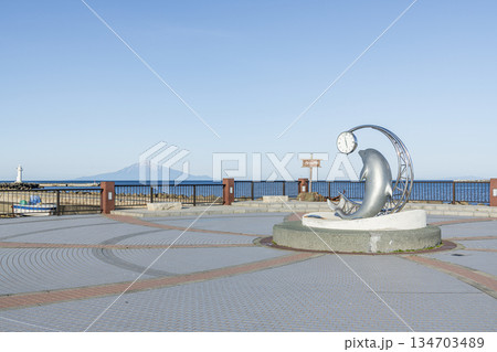 北海道稚内市　ノシャップ岬にある恵山泊漁港公園と背後の利尻島 134703489