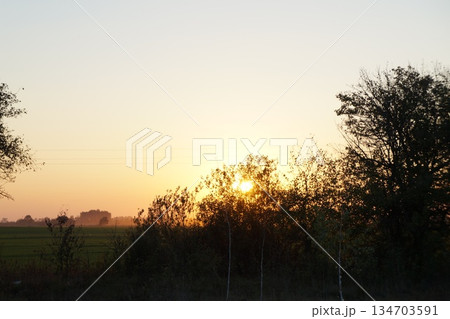 The setting sun casts a warm orange light on the trees and fields, creating a serene sunset atmosphere. The setting sun casts a warm orange light on the trees and fields, creating a serene sunset atmosphere. 134703591