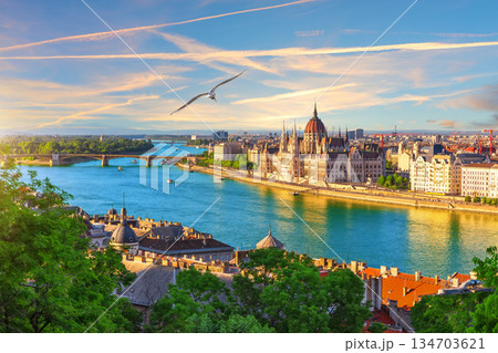 Skyline view of the Parliament Building on the Danube River with Margaret Bridge, Budapest, Hungary 134703621