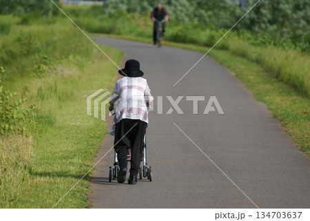 カーとを押すシニア 134703637