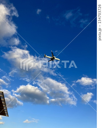大井競馬場から見た航空機 134703726