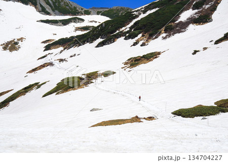 初夏の立山室堂 残雪の雪道を歩く登山者たち（北アルプス・春山登山） 134704227