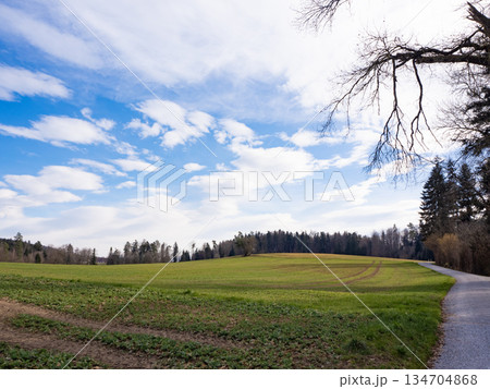 Pfannenstil, Switzerland - March 9th 2025: Idyllic landscape with fields, forests and hills. 134704868