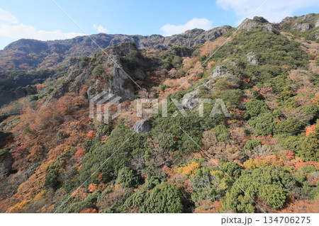 小豆島、寒霞渓の紅葉(ロープウェイから) 小豆島、寒霞渓の紅葉(ロープウェイから) 134706275