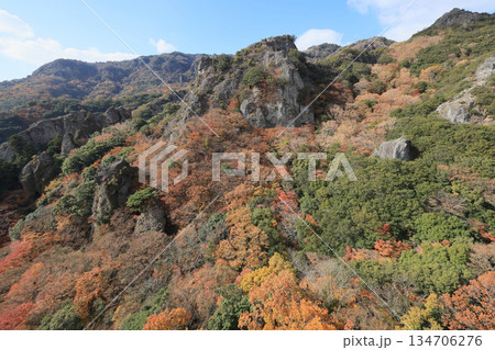 小豆島、寒霞渓の紅葉（ロープウェイから） 134706276
