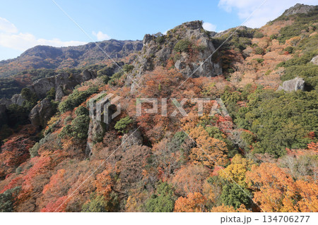 小豆島、寒霞渓の紅葉(ロープウェイから) 小豆島、寒霞渓の紅葉(ロープウェイから) 134706277