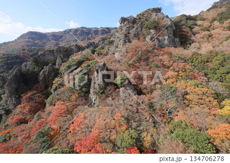 小豆島、寒霞渓の紅葉（ロープウェイから） 134706278