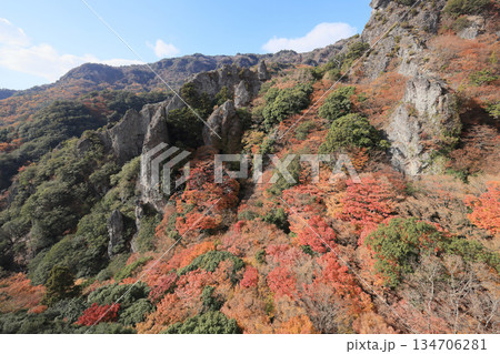 小豆島、寒霞渓の紅葉（ロープウェイから） 134706281