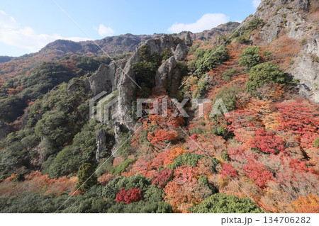 小豆島、寒霞渓の紅葉（ロープウェイから） 134706282