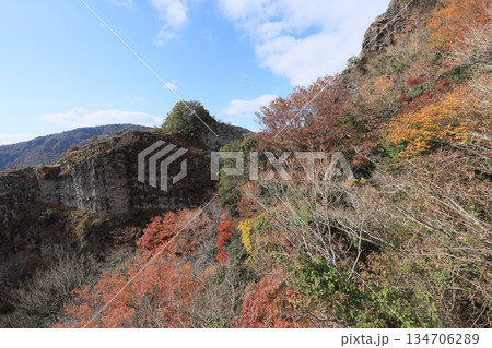 小豆島、寒霞渓の紅葉(ロープウェイから) 小豆島、寒霞渓の紅葉(ロープウェイから) 134706289