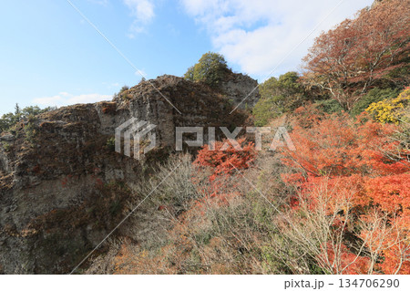 小豆島、寒霞渓の紅葉(ロープウェイから) 小豆島、寒霞渓の紅葉(ロープウェイから) 134706290