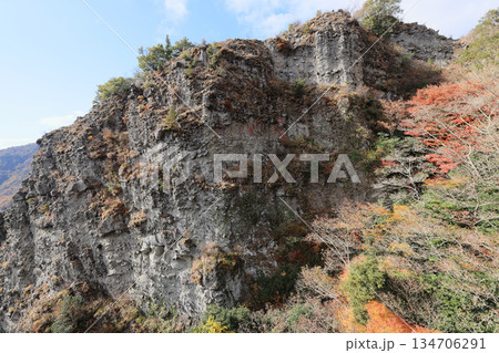 小豆島、寒霞渓の紅葉(ロープウェイから) 小豆島、寒霞渓の紅葉(ロープウェイから) 134706291