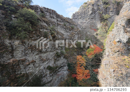 小豆島、寒霞渓の紅葉（ロープウェイから） 134706293