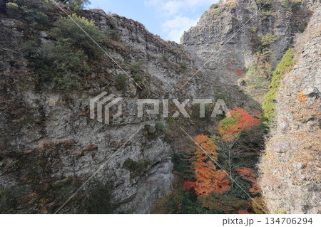 小豆島、寒霞渓の紅葉（ロープウェイから） 134706294
