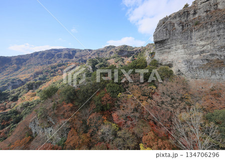 小豆島、寒霞渓の紅葉（ロープウェイから） 134706296