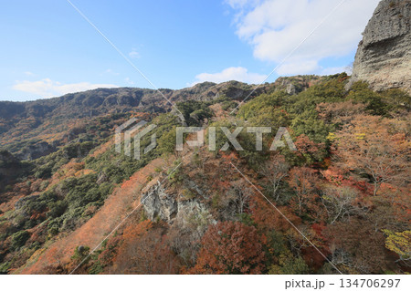 小豆島、寒霞渓の紅葉(ロープウェイから) 小豆島、寒霞渓の紅葉(ロープウェイから) 134706297