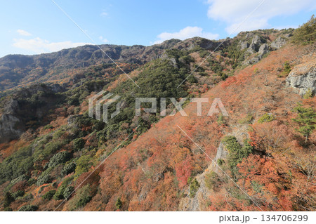 小豆島、寒霞渓の紅葉（ロープウェイから） 134706299