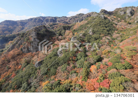 小豆島、寒霞渓の紅葉（ロープウェイから） 134706301