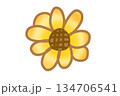かわいいシンプルなひまわりのイラスト 134706541