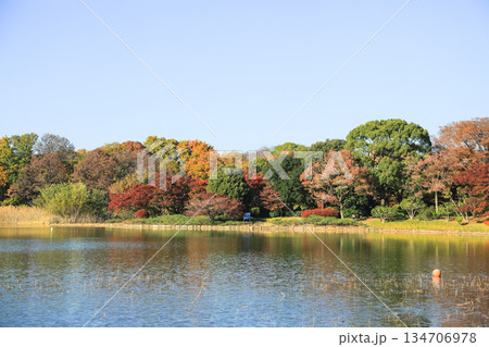 湖に映る美しい紅葉の木々と秋の穏やかな景色 湖に映る美しい紅葉の木々と秋の穏やかな景色 134706978