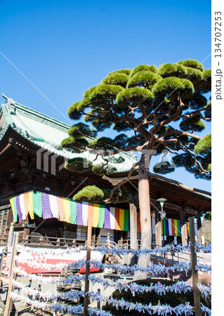 明るい真っ青な快晴の空の下の護国寺の歴史的な木造の建物 134707253