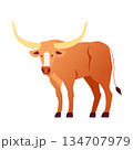 Texas Longhorn - Colorful Flat Design Illustration 134707979