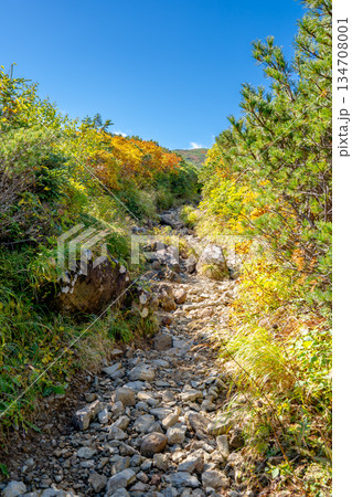蓮華温泉から白馬大池への登山道と紅葉 蓮華温泉~北アルプス白馬岳縦走登山 蓮華温泉から白馬大池への登山道と紅葉 蓮華温泉~北アルプス白馬岳縦走登山 134708001